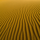 Mesquite Flat Sand Dunes in Death Valley National Park, CA at sunrise.  Landscape Photograpy by Alex Wilson.
